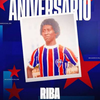 RIBA PALMARES